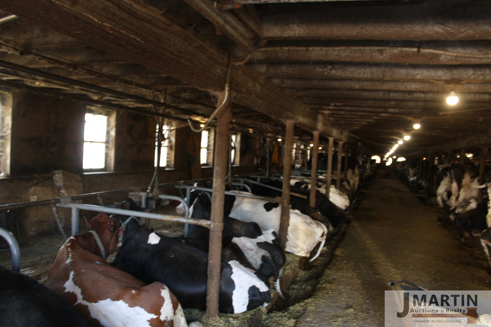 Image for Widrick Farm and Moser Farms 140 Head Dairy and Equipment Dispersal