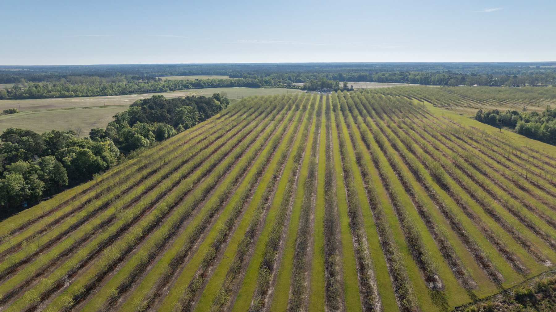 Image for 488+/- Acres - The Gaines Tract - Weybrenee Farms