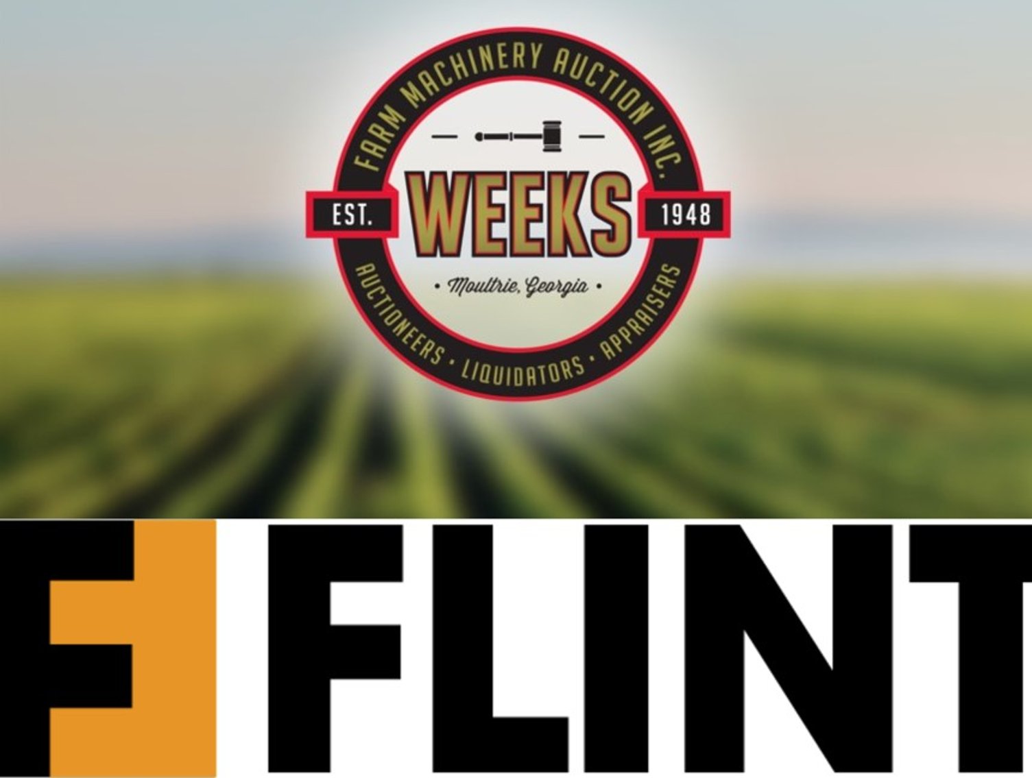 Image for VIRTUAL - FLINT LATE MODEL INVENTORY REDUCTION AUCTION