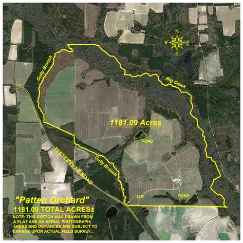 Image for 1,181± Acres – Patten Orchard - Premium Irrigated Pecan Operation - Long-Term Orchard Income w/ Improvements - Merchantable Timber Stand & Creek Frontage
