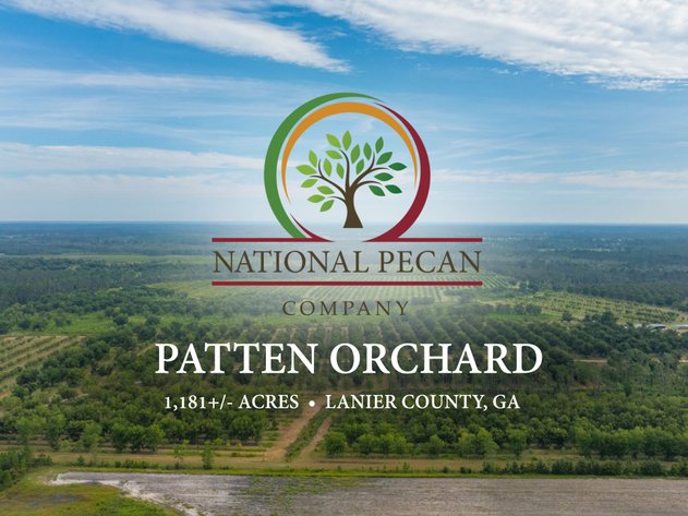 Image for 1,181± Acres – Patten Orchard - Premium Irrigated Pecan Operation - Long-Term Orchard Income w/ Improvements - Merchantable Timber Stand & Creek Frontage