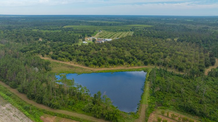 Image for 1,181± Acres – Patten Orchard - Premium Irrigated Pecan Operation - Long-Term Orchard Income w/ Improvements - Merchantable Timber Stand & Creek Frontage