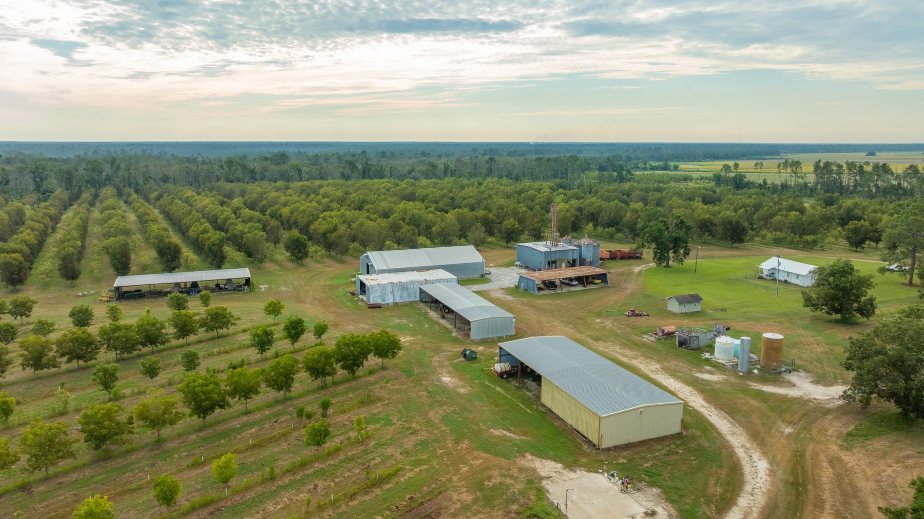 Image for 1,181± Acres – Patten Orchard - Premium Irrigated Pecan Operation - Long-Term Orchard Income w/ Improvements - Merchantable Timber Stand & Creek Frontage