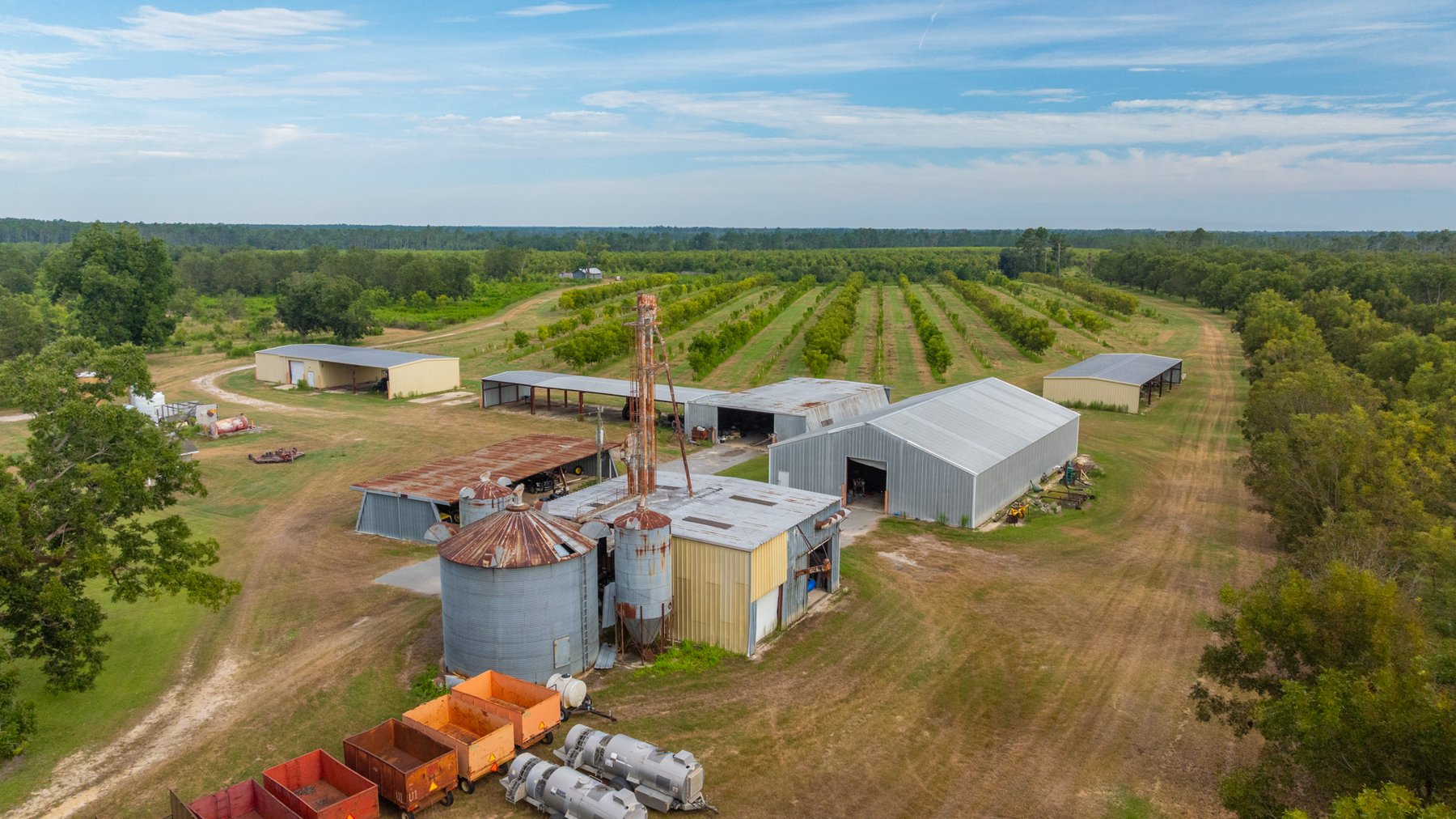 Image for 1,181± Acres – Patten Orchard - Premium Irrigated Pecan Operation - Long-Term Orchard Income w/ Improvements - Merchantable Timber Stand & Creek Frontage