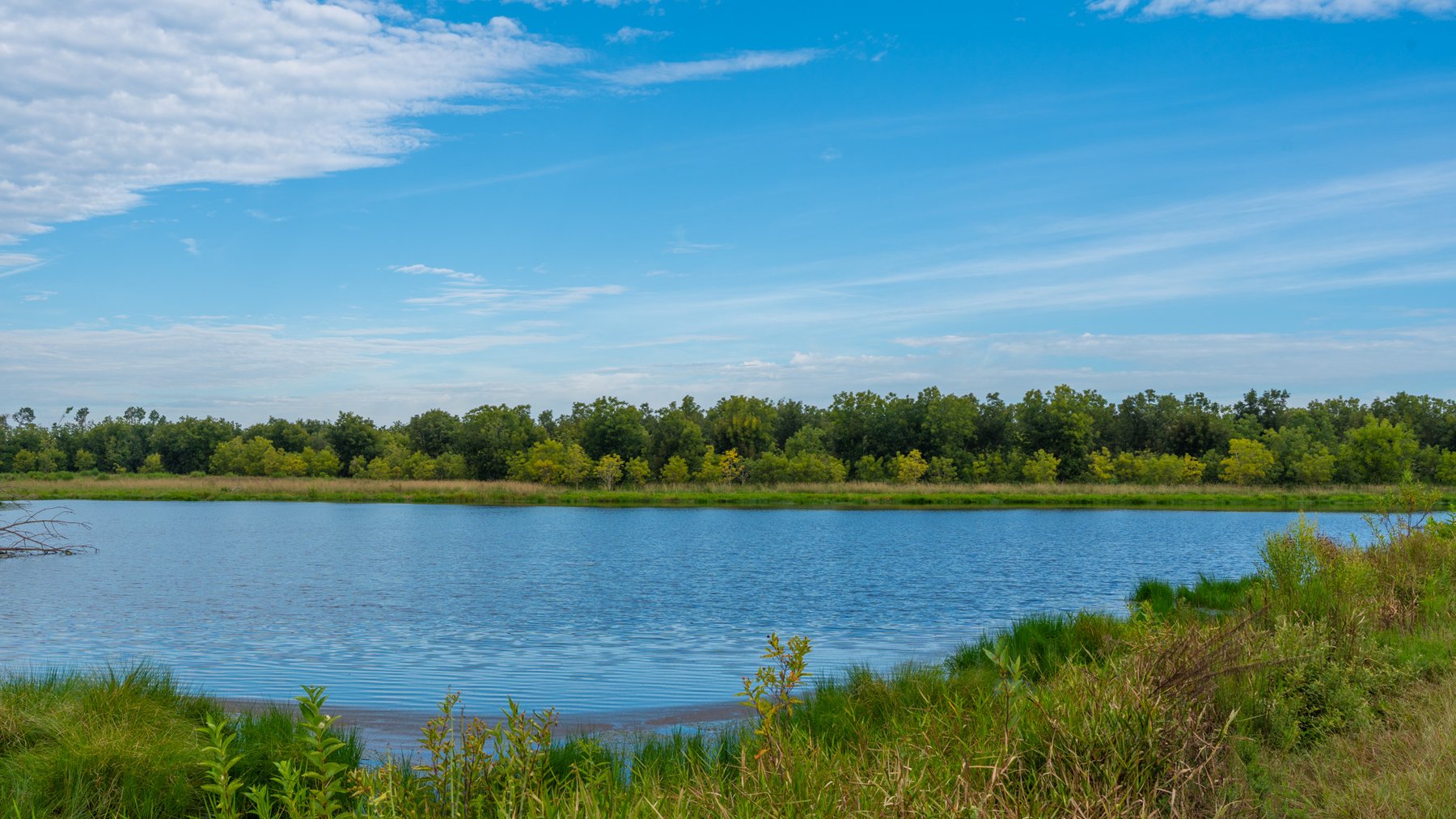 Image for 1,181± Acres – Patten Orchard - Premium Irrigated Pecan Operation - Long-Term Orchard Income w/ Improvements - Merchantable Timber Stand & Creek Frontage