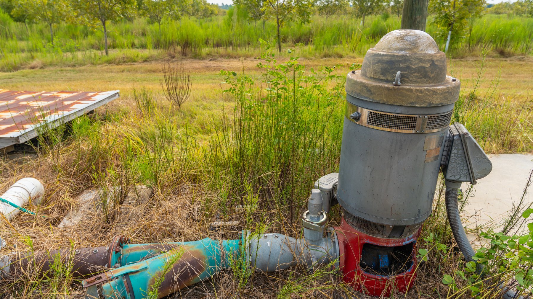 Image for 1,181± Acres – Patten Orchard - Premium Irrigated Pecan Operation - Long-Term Orchard Income w/ Improvements - Merchantable Timber Stand & Creek Frontage