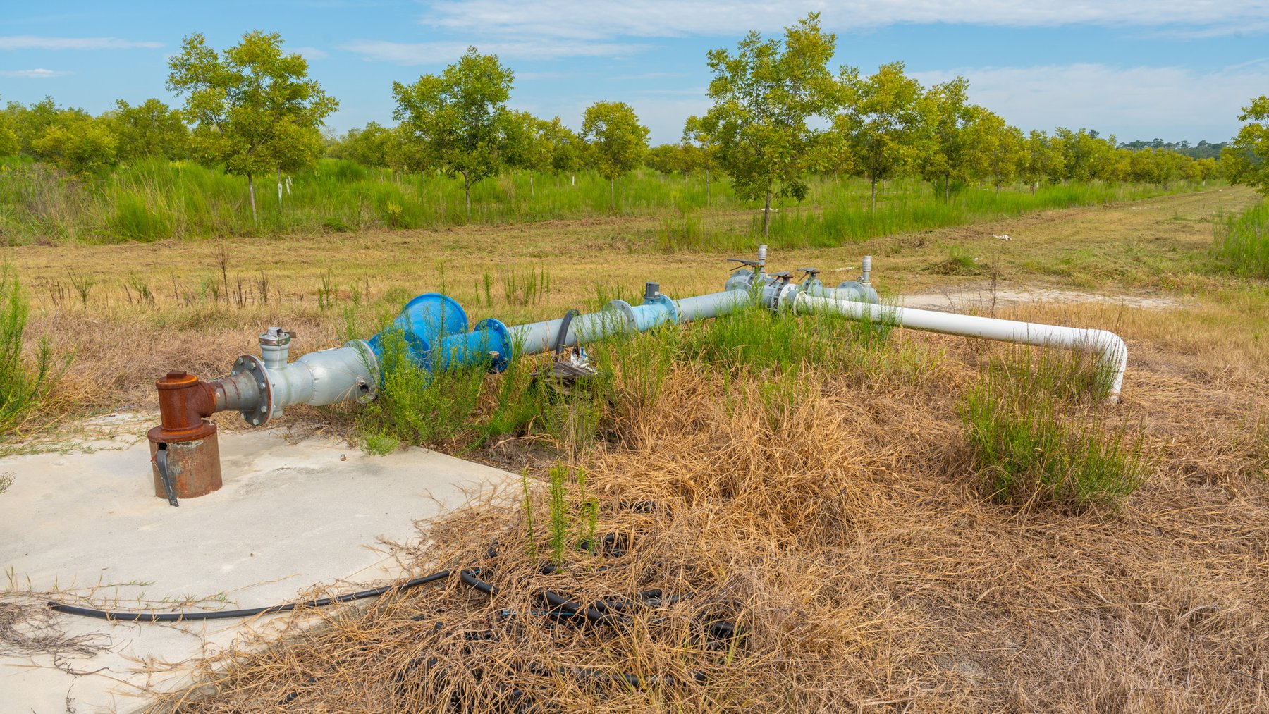 Image for 1,181± Acres – Patten Orchard - Premium Irrigated Pecan Operation - Long-Term Orchard Income w/ Improvements - Merchantable Timber Stand & Creek Frontage