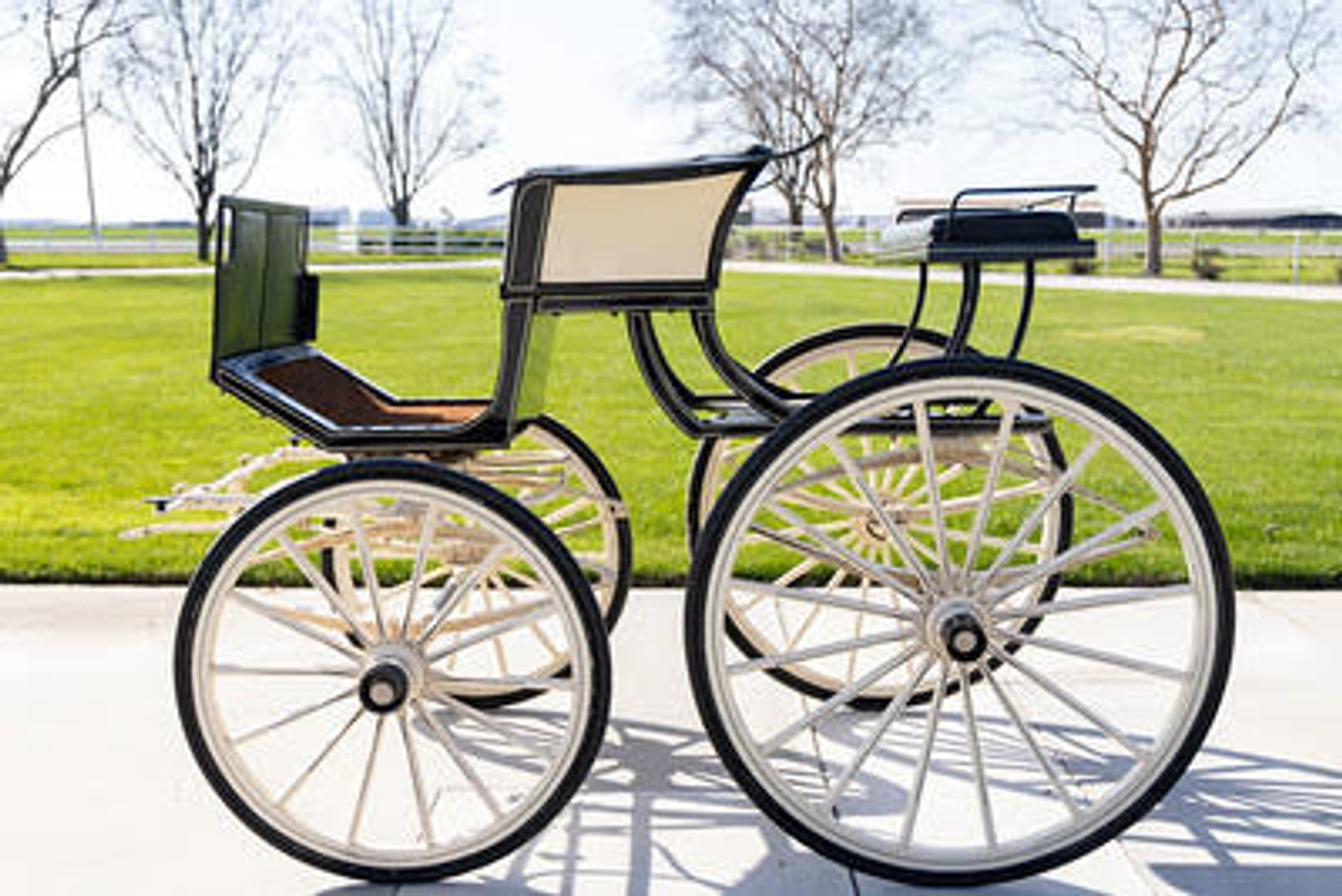 Image for Fred DeBoer Royal Friesians Estate Carriage Collection-November 16th 2024