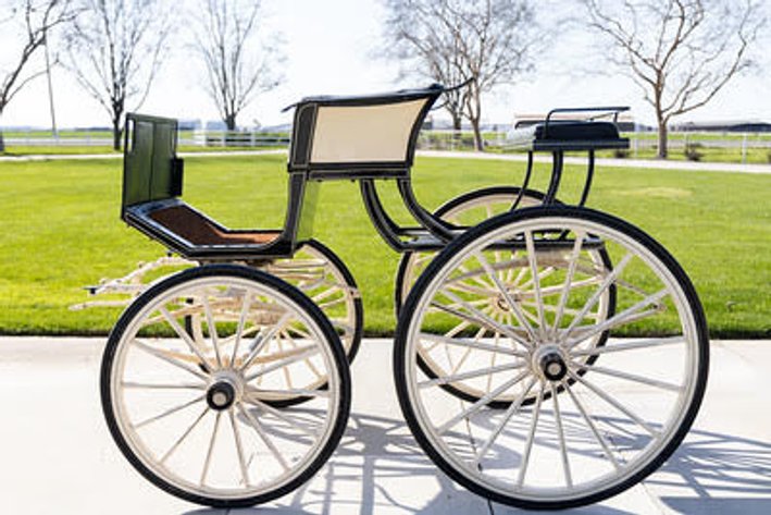 Image for Fred DeBoer Royal Friesians Estate Carriage Collection-November 16th 2024