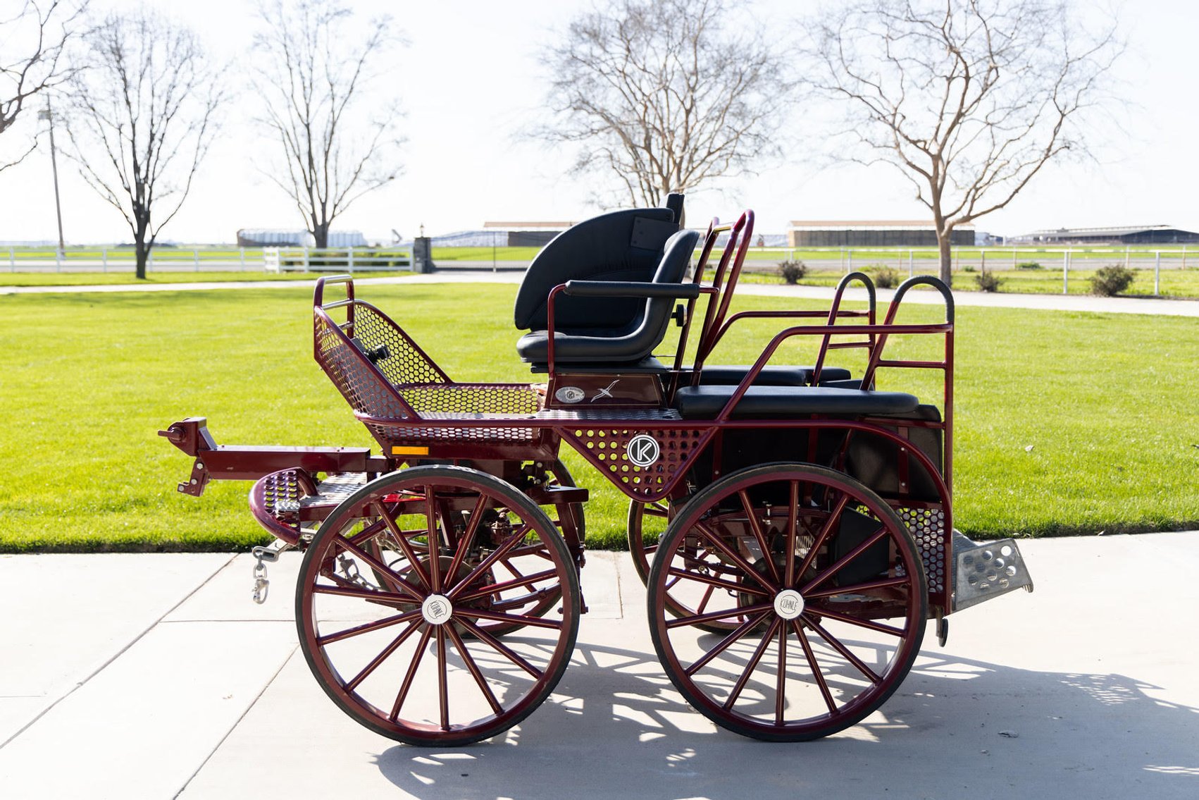 Image for Fred DeBoer Royal Friesians Estate Carriage Collection-November 16th 2024
