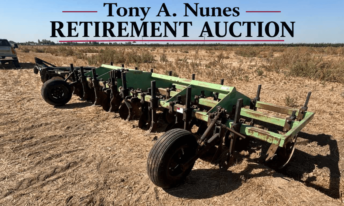 Bingham Brothers 8Row X 30In Disc Bedder