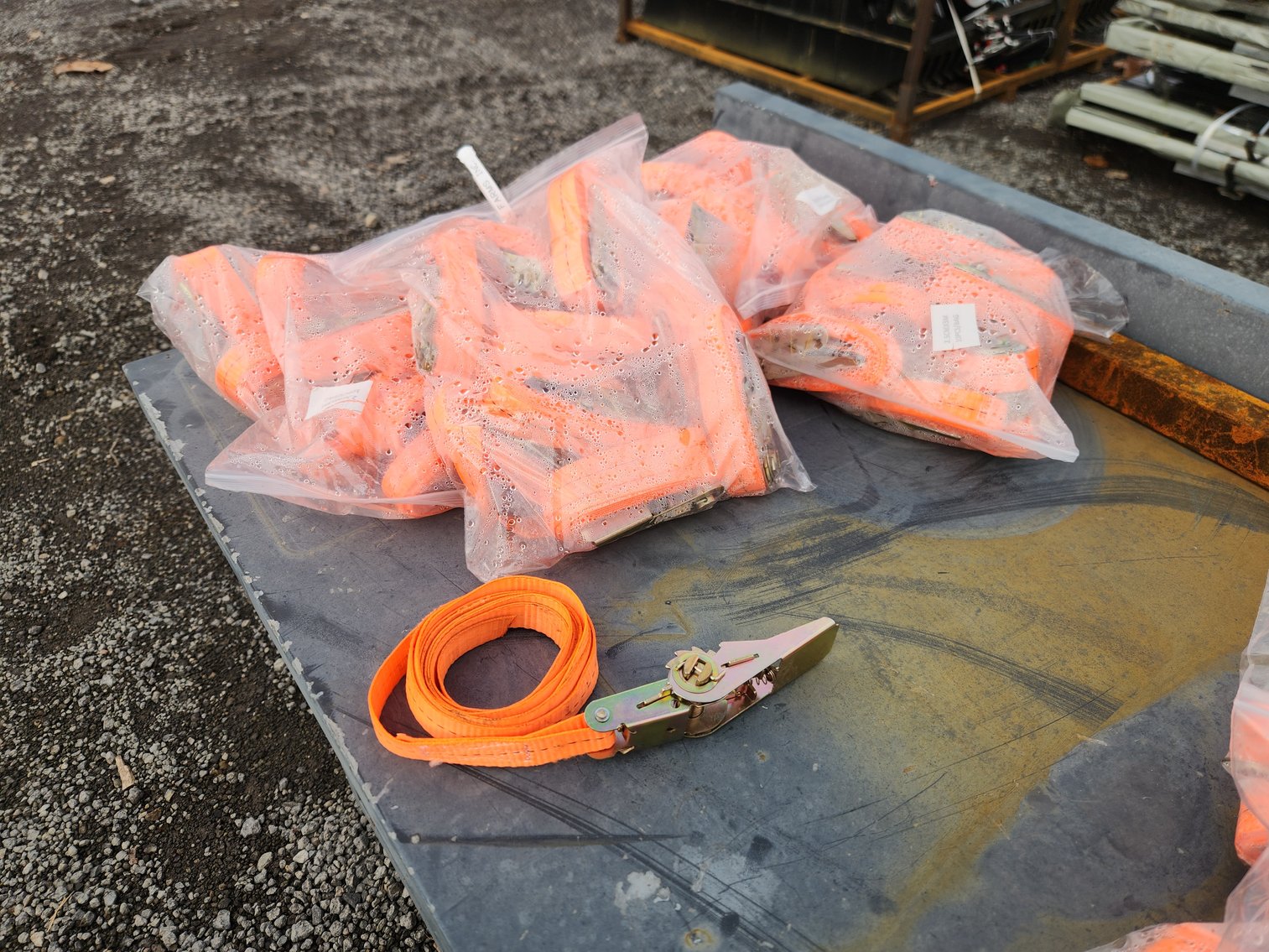 Image for Powell Farms Consignment Auction - Day 2 Ring 2