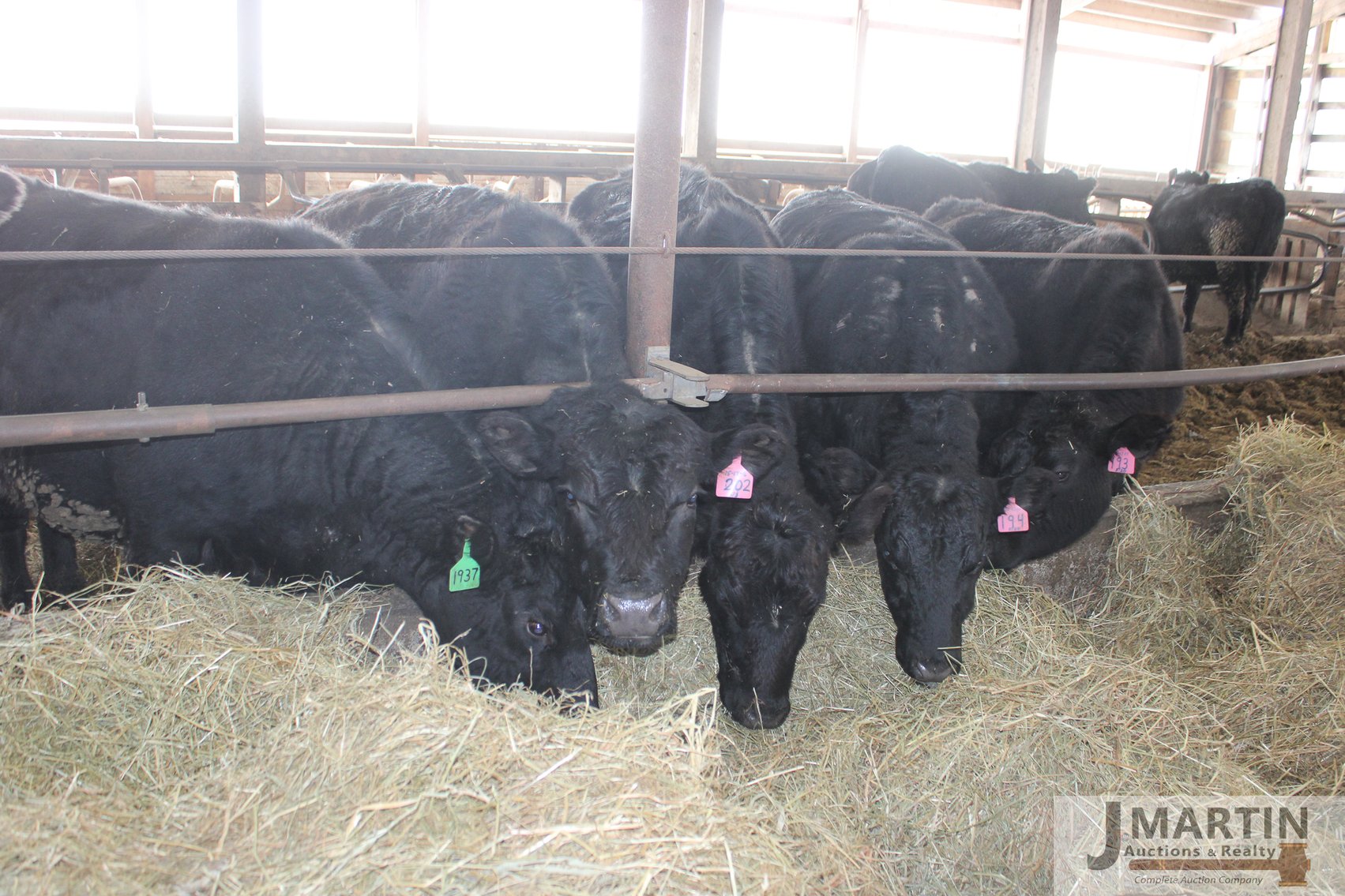 Image for Hickory Hill Farm LLC Cattle and Equipment Dispersal