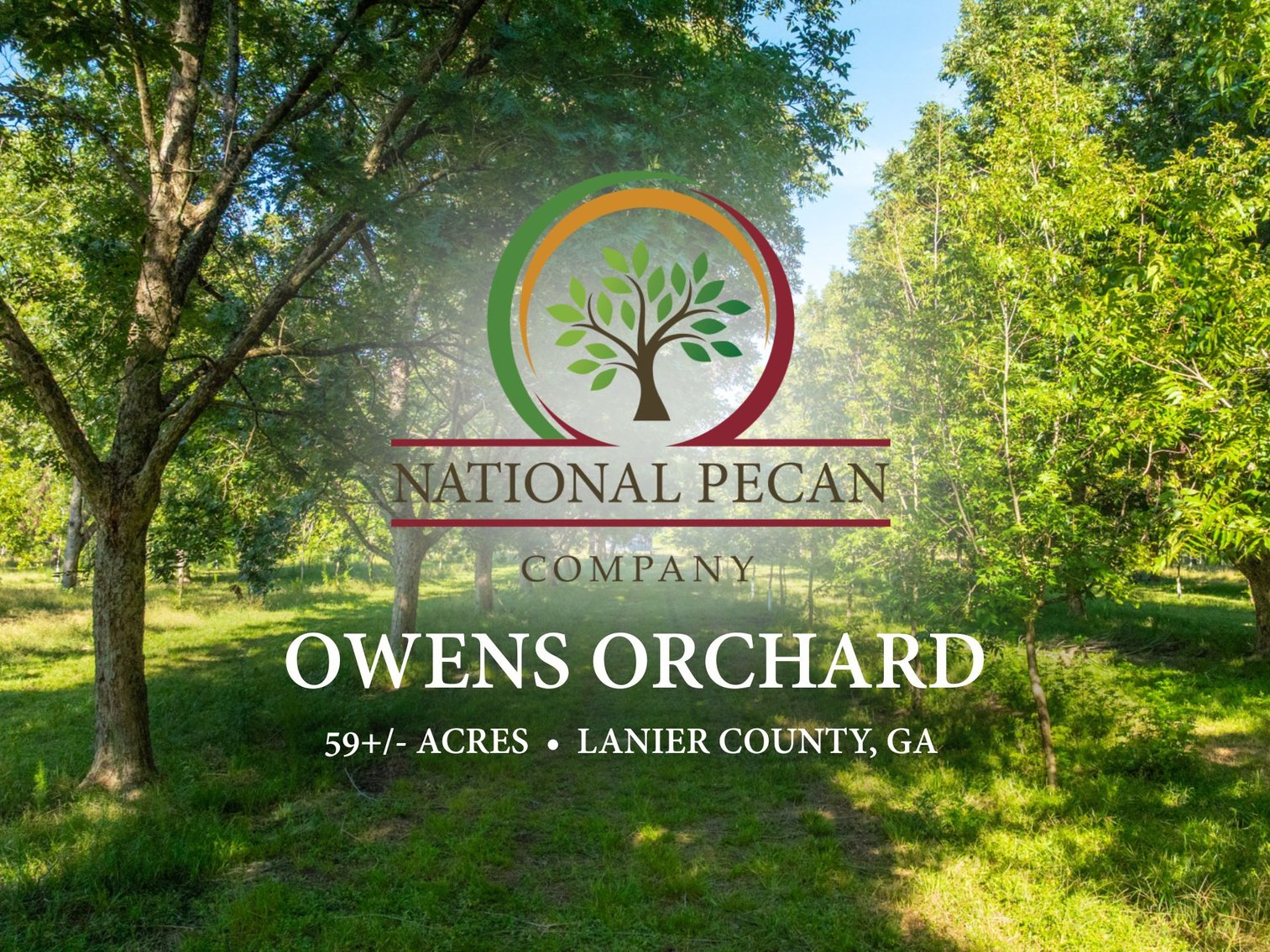 Image for 59± Acres - Owens Orchard - Mini Farm & Estate Potential - Irrigated Pecan Orchard with Wooded Uplands - Strong Investment Appeal