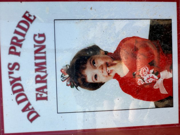 Image for Daddy's Pride Farming-October 22nd 2025